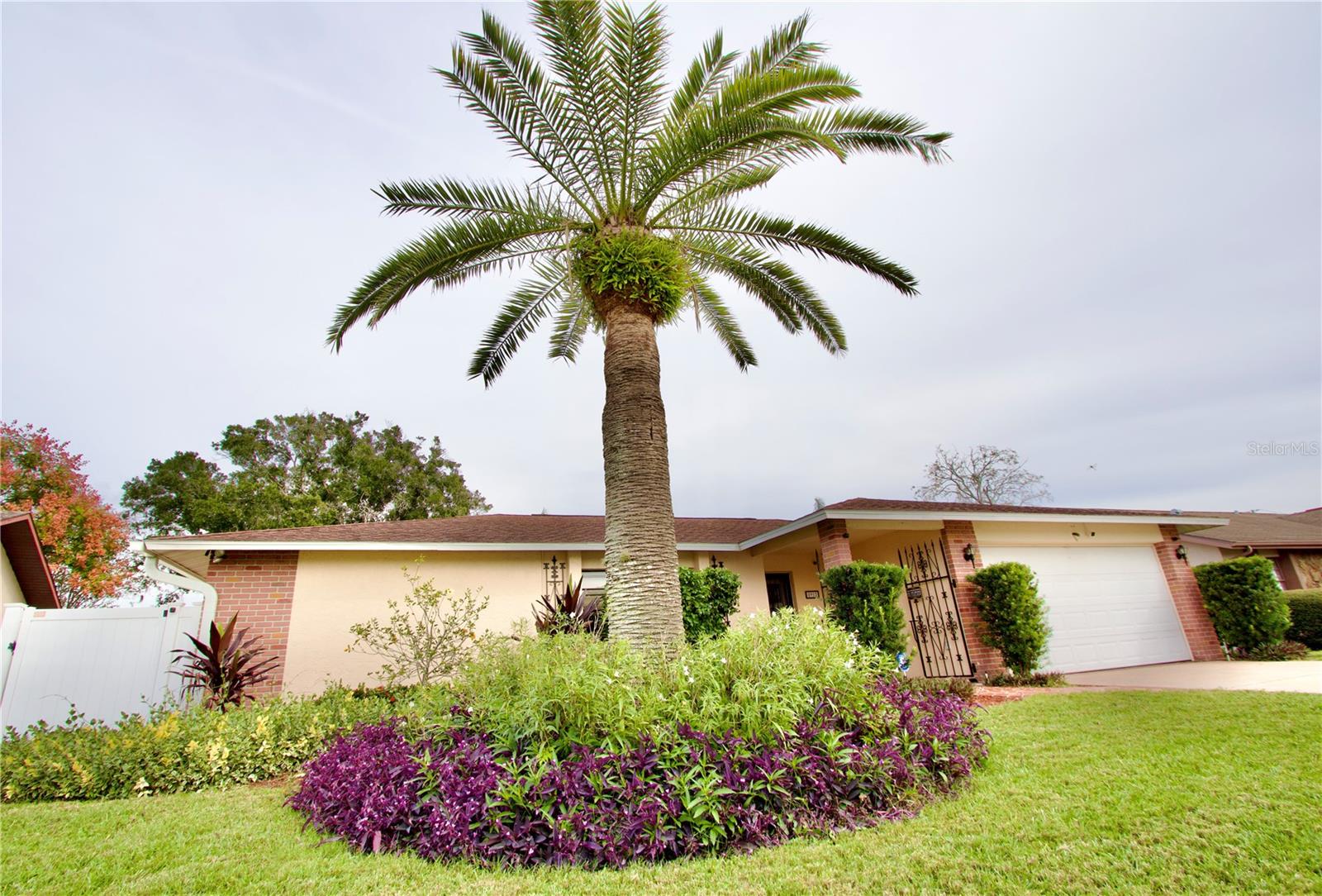 8912 ANDROS LN, PORT RICHEY, FL, 34668