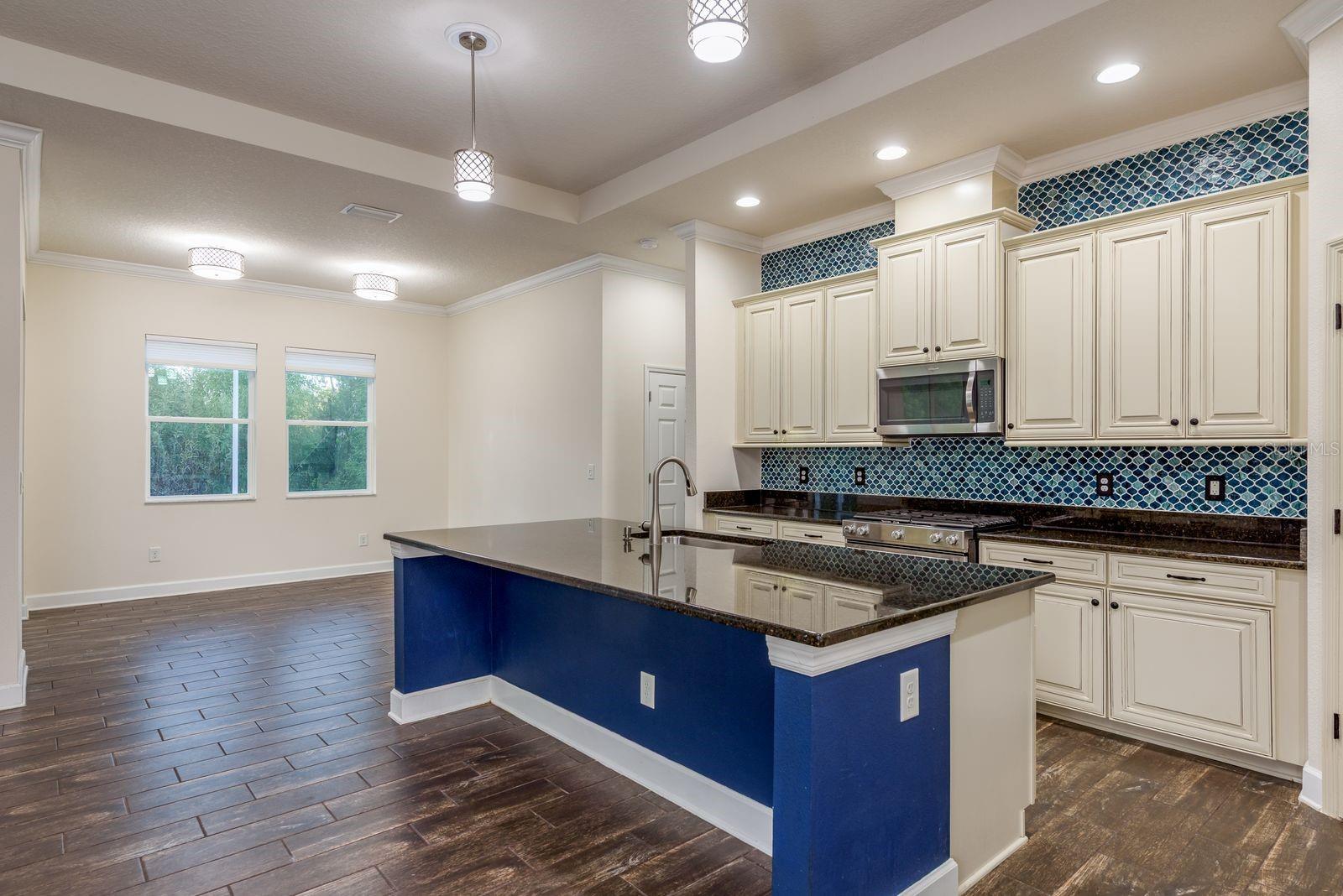 5116 COASTAL SCENE DR, APOLLO BEACH, FL, 33572