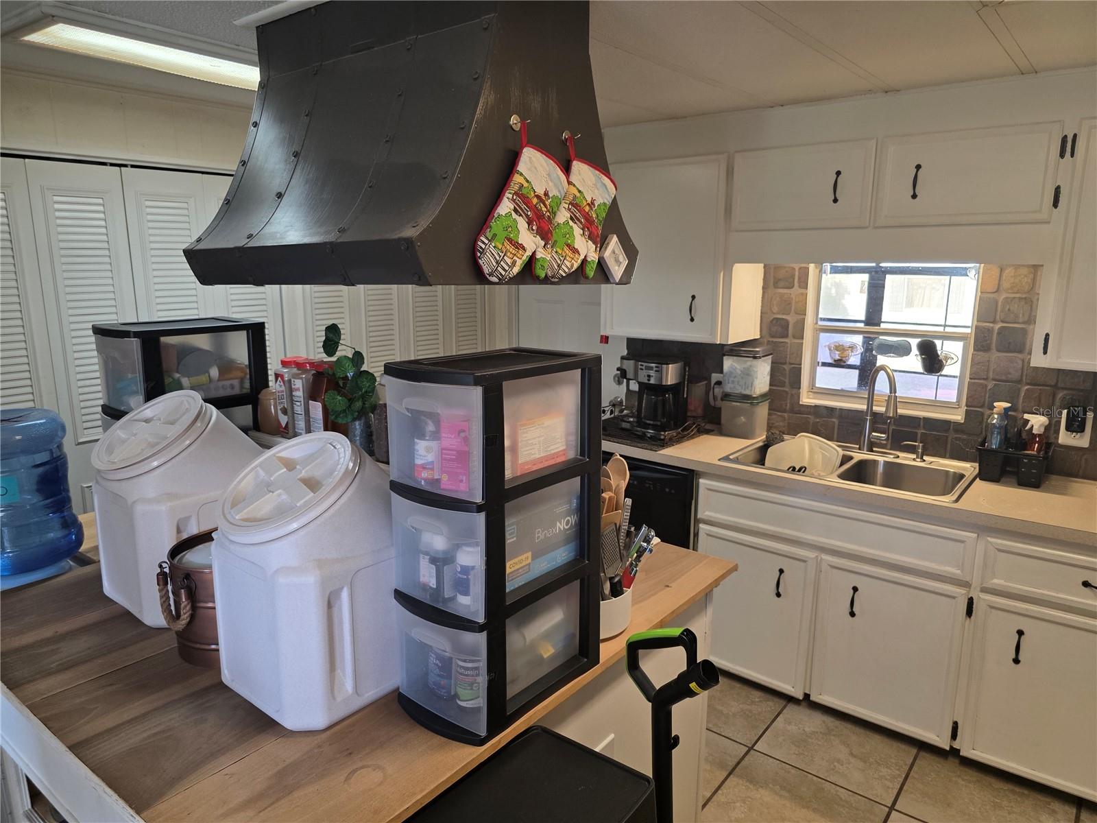 34103 HODGES RD, LEESBURG, FL, 34788