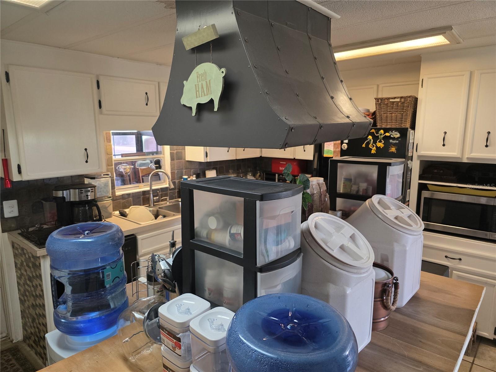 34103 HODGES RD, LEESBURG, FL, 34788