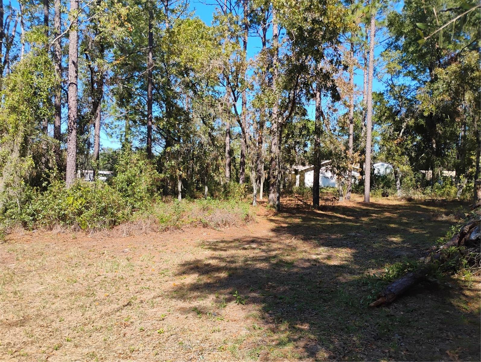 OM713100 Property Photo