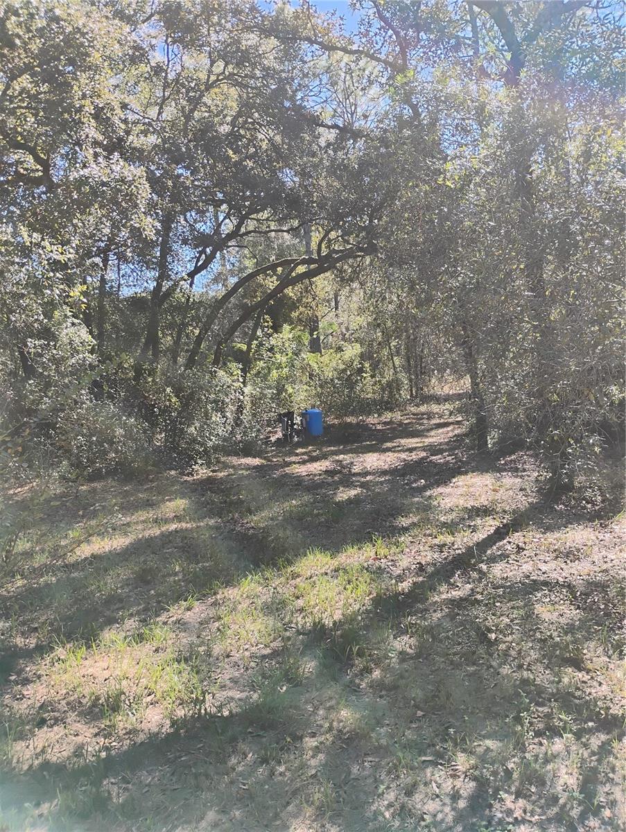 OM713100 Property Photo