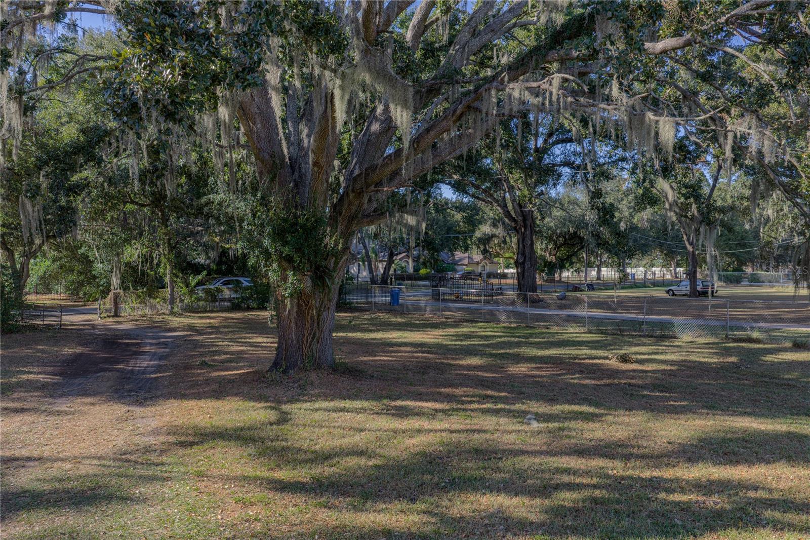 215 SKYWOOD DR, VALRICO, FL, 33594