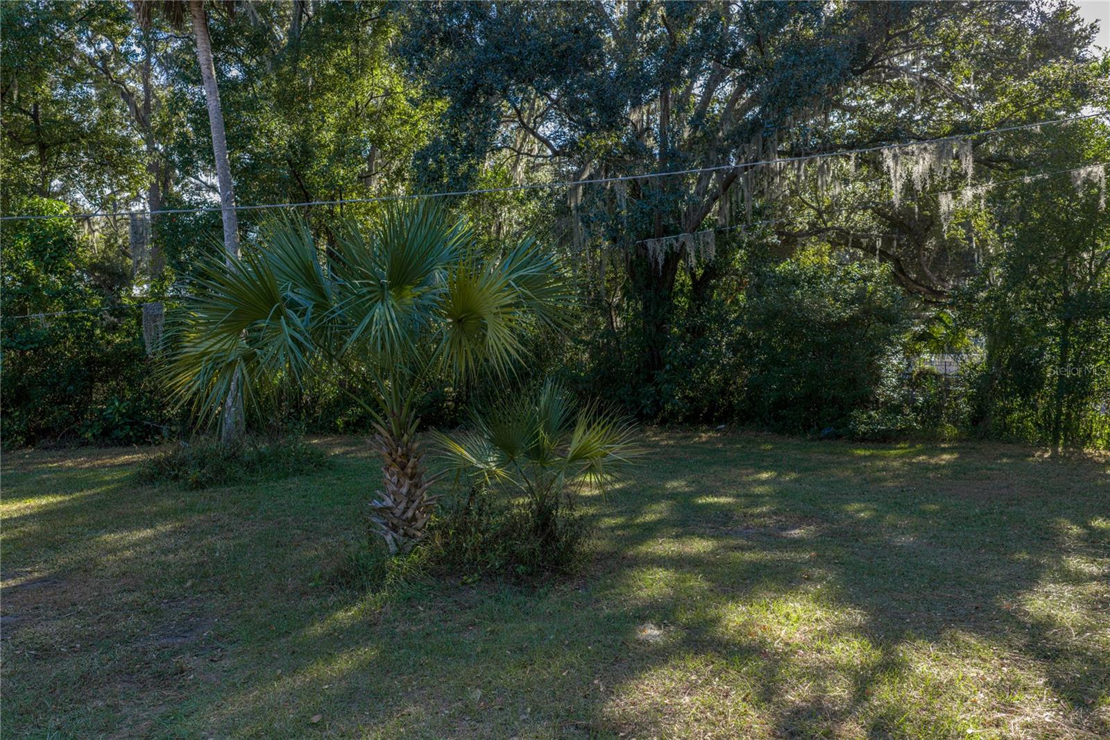 215 SKYWOOD DR, VALRICO, FL, 33594