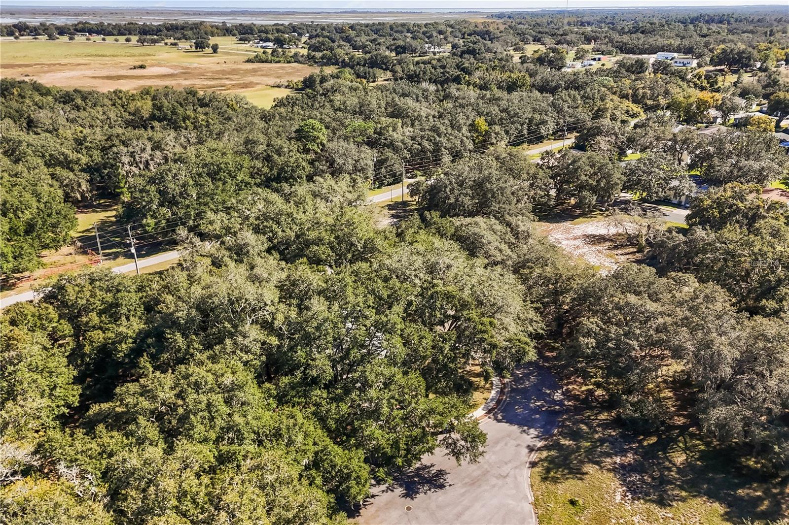 14233 TASSLEFLOWER CT, ASTATULA, FL, 34705