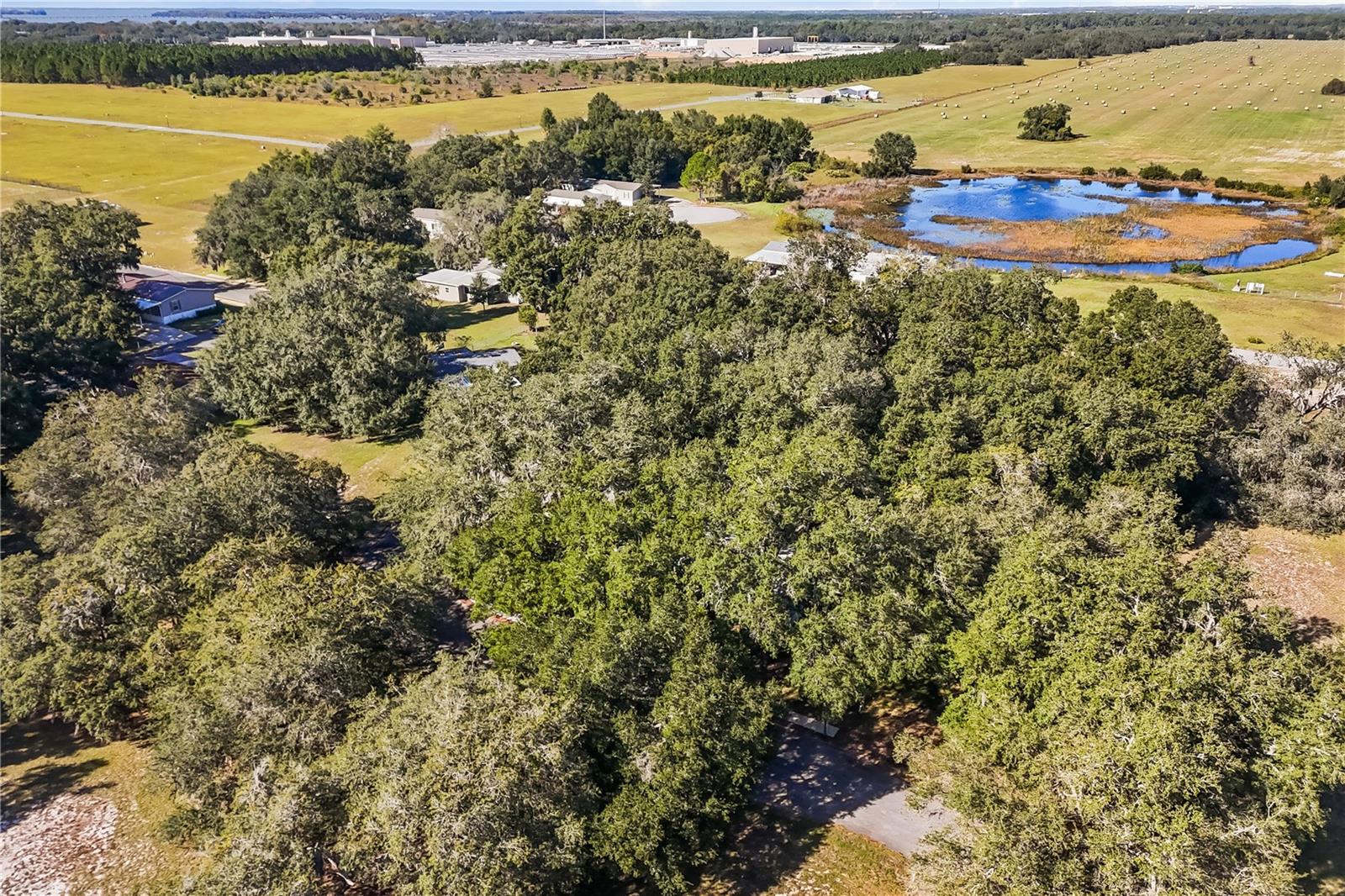 14233 TASSLEFLOWER CT, ASTATULA, FL, 34705