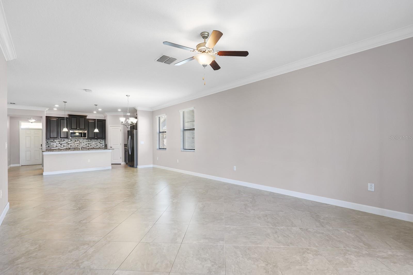 12038 CARDINAL FLOWER DR, RIVERVIEW, FL, 33579