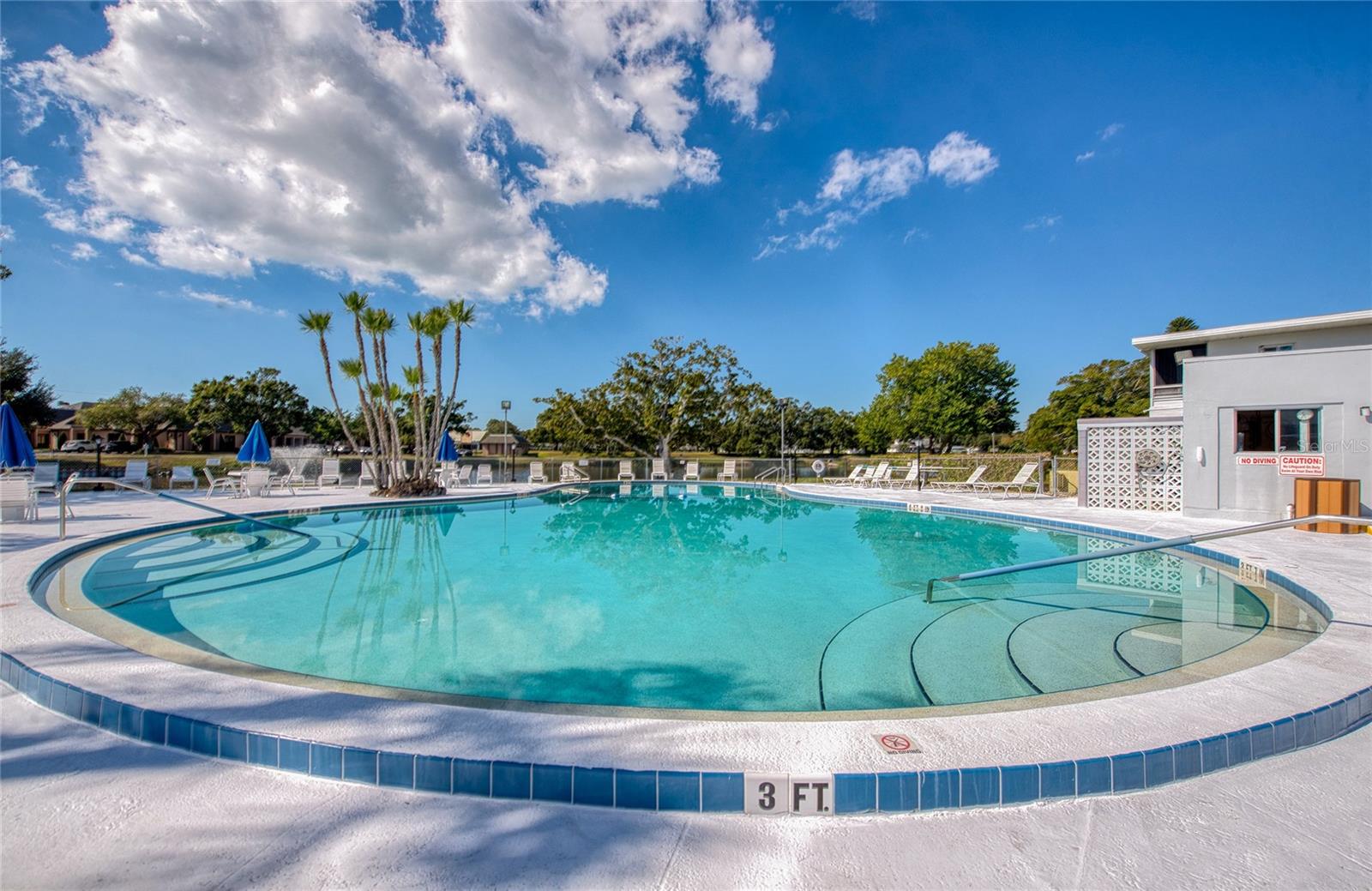 8555 N 112TH ST #205, SEMINOLE, FL, 33772