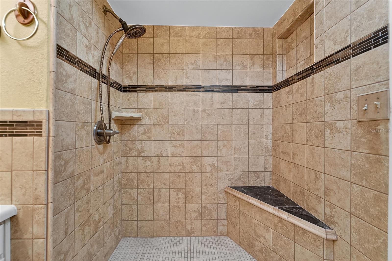 9609 STARLITE DR, RIVERVIEW, FL, 33578