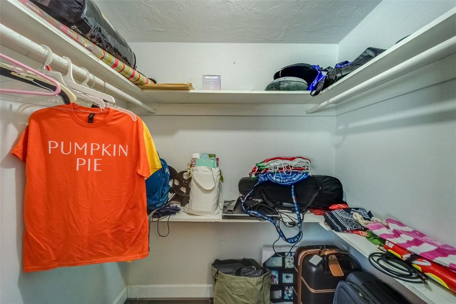 2646 ALBION ST, HOLIDAY, FL, 34691