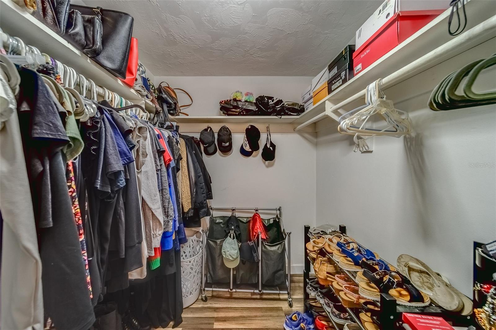 2646 ALBION ST, HOLIDAY, FL, 34691