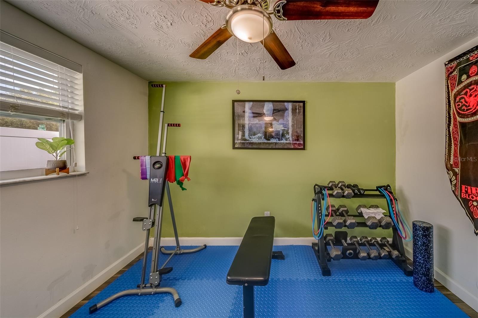 2646 ALBION ST, HOLIDAY, FL, 34691