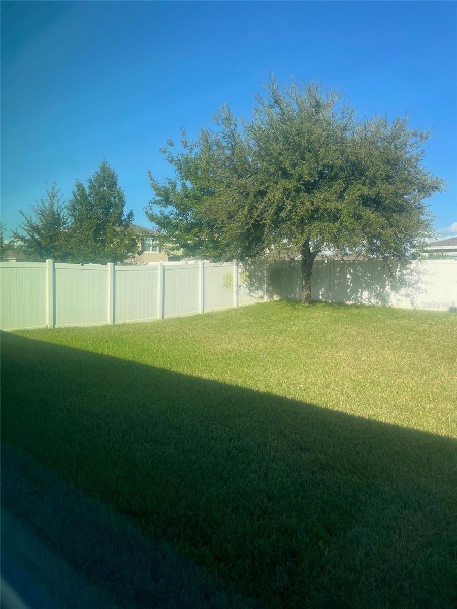 3212 BAYOU LN, TAVARES, FL, 32778