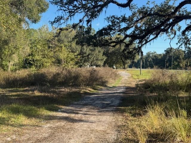 11542 S US HIGHWAY 301, WEBSTER, FL, 33597