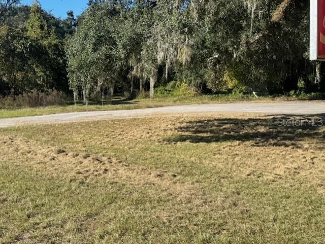 11542 S US HIGHWAY 301, WEBSTER, FL, 33597