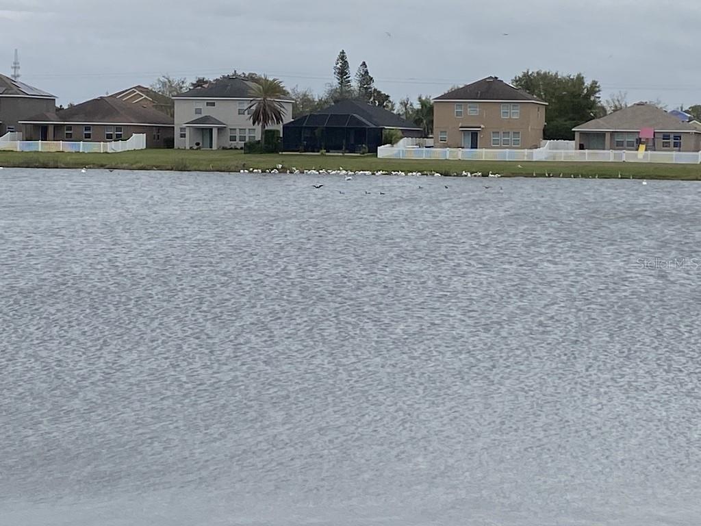 711 PARKER DEN DR, RUSKIN, FL, 33570