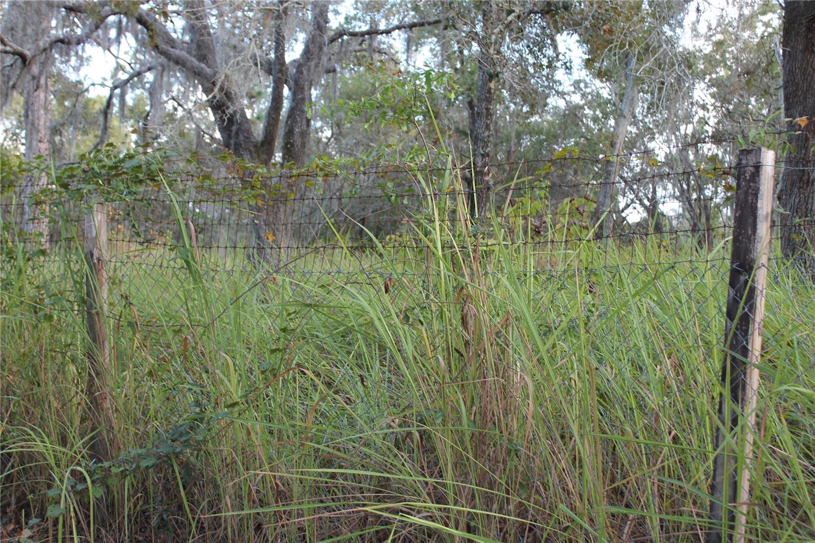 10132 NEW YORK AVE, HUDSON, FL, 34667