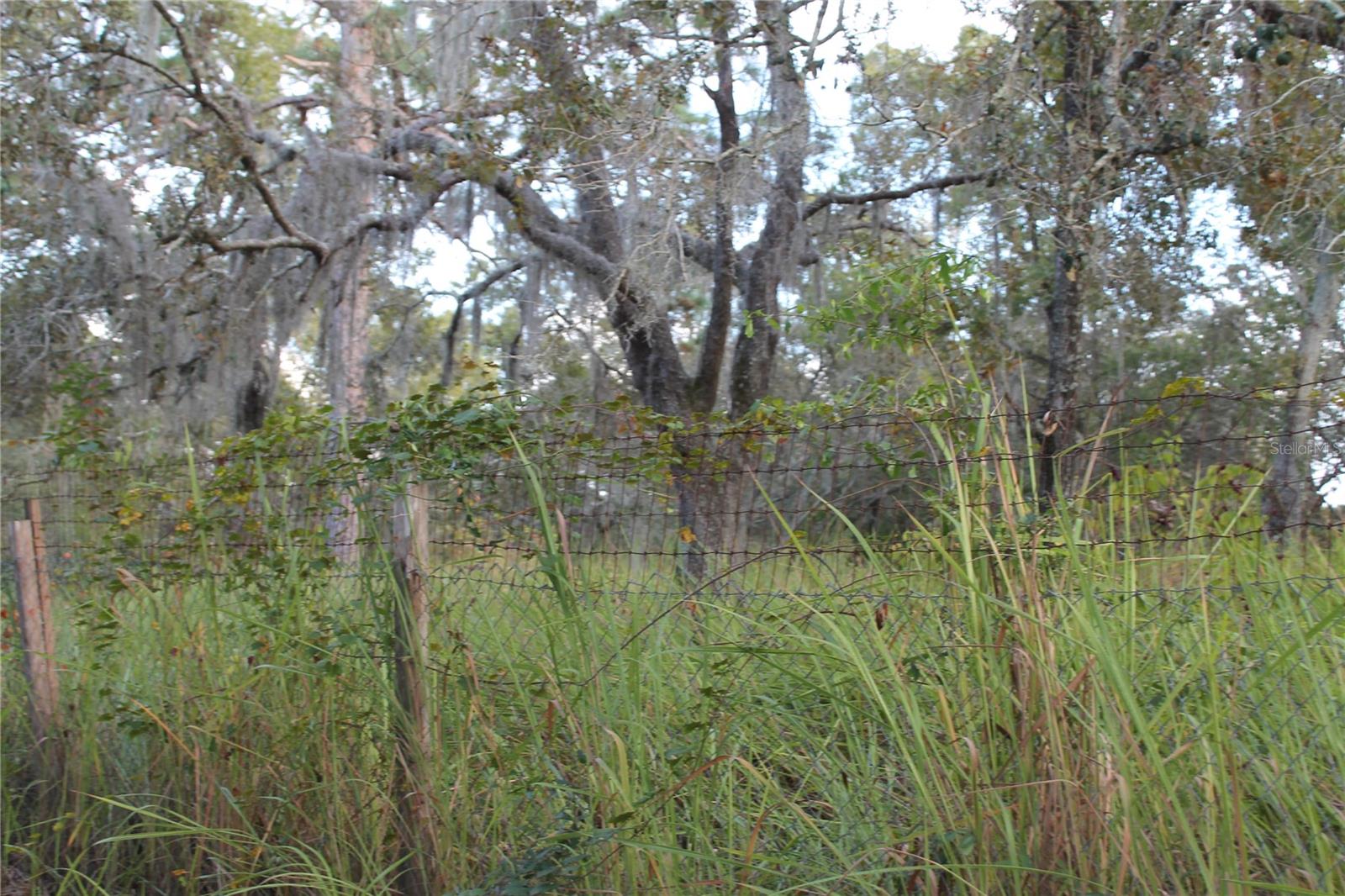 10132 NEW YORK AVE, HUDSON, FL, 34667