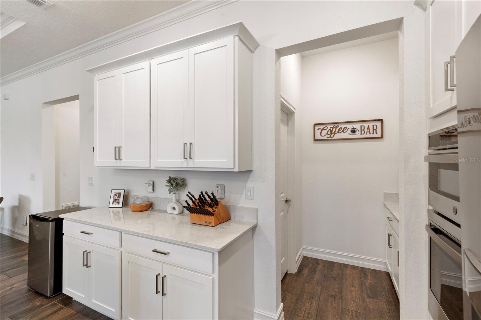 8692 LITTLE BLUESTEM DR, LAND O LAKES, FL, 34637