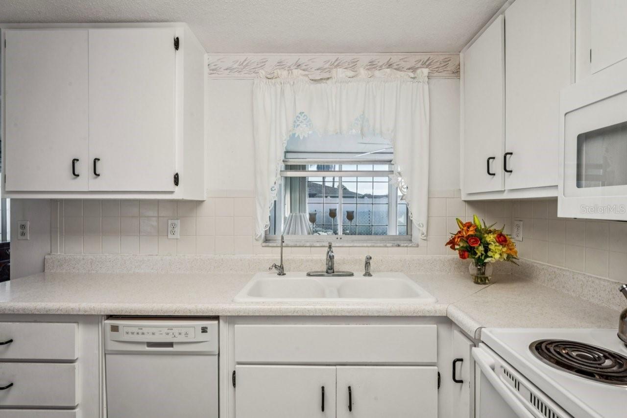 10134 ORCHID DR, PORT RICHEY, FL, 34668