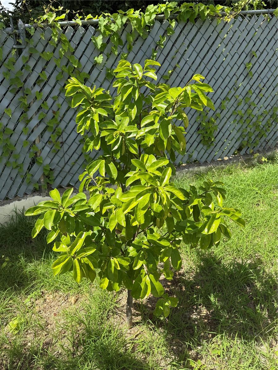 PR9117257 Property Photo