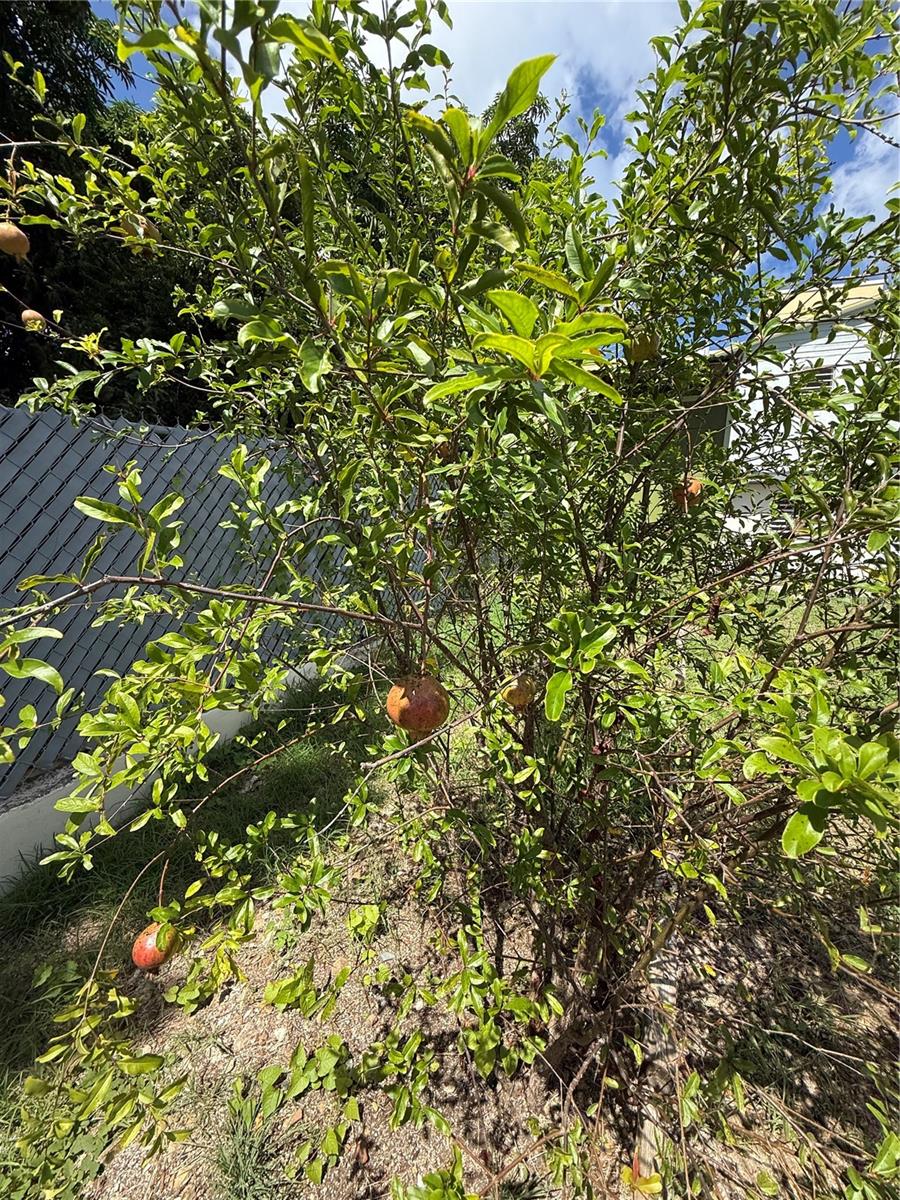 PR9117257 Property Photo