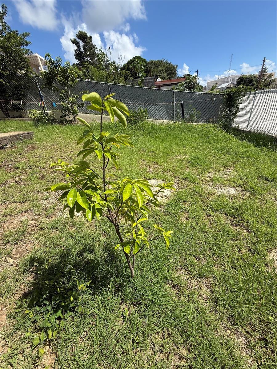 PR9117257 Property Photo