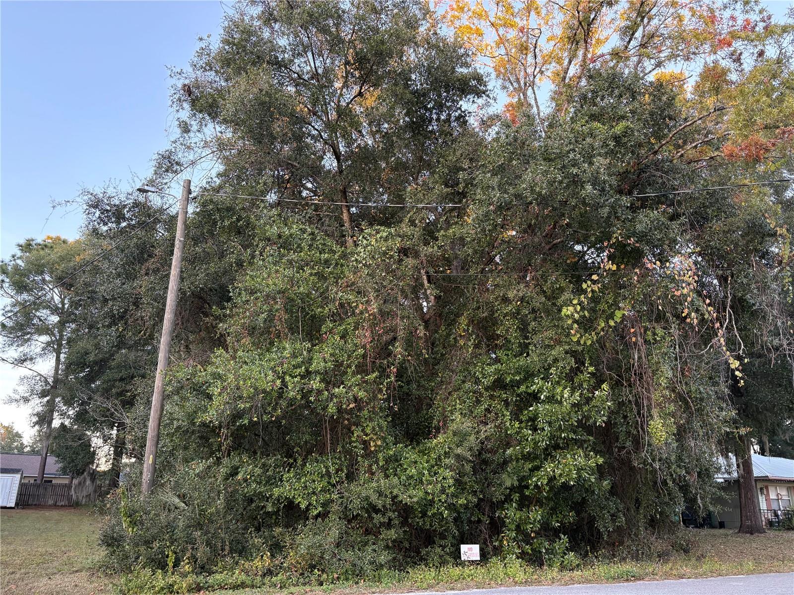 NW 60 ST, OCALA, FL, 34482