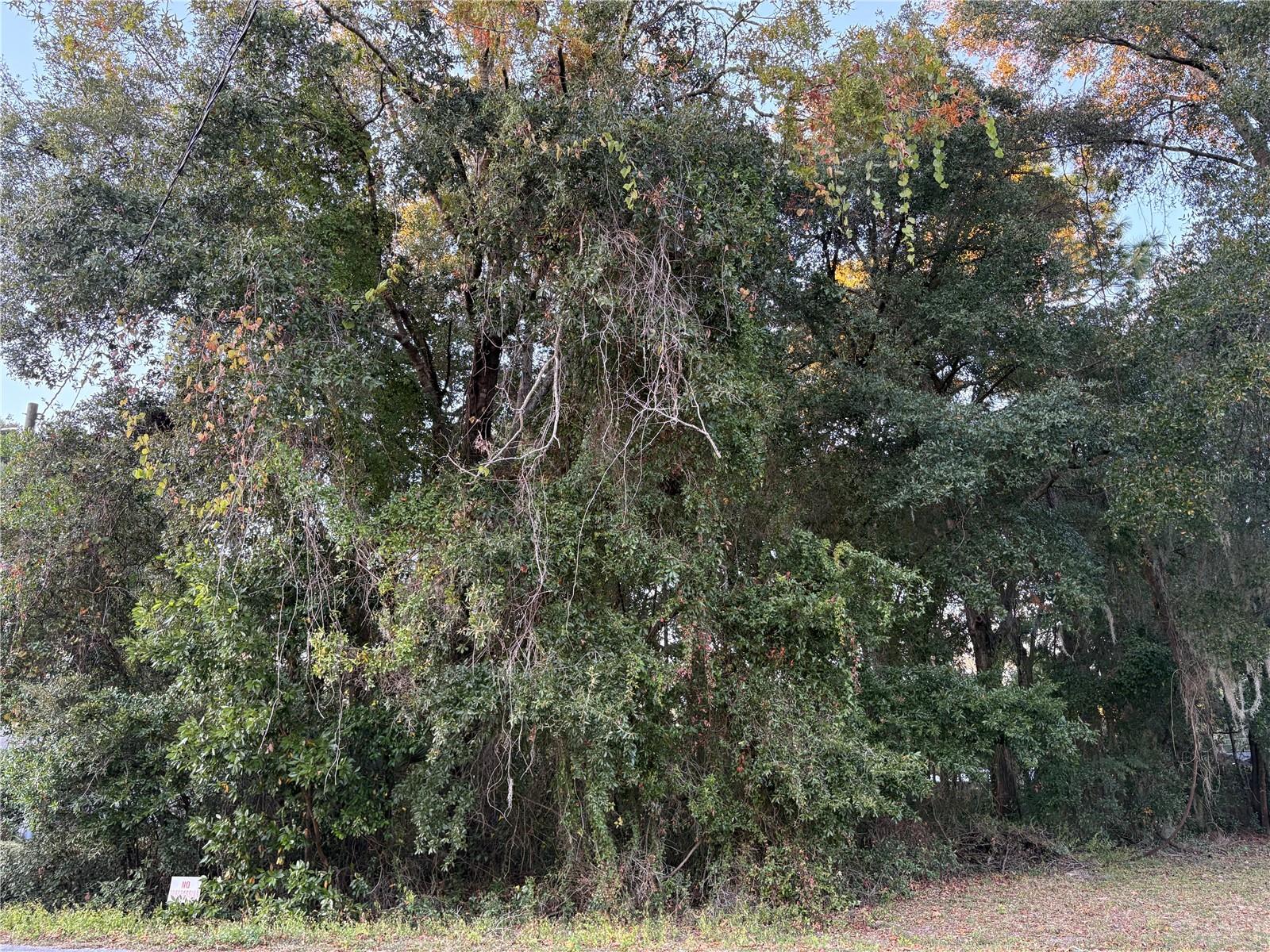 NW 60 ST, OCALA, FL, 34482