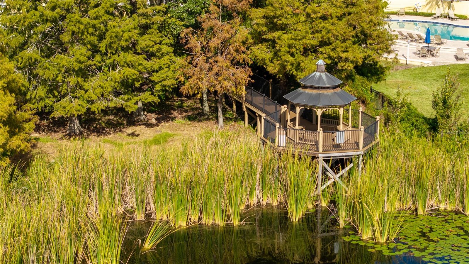 1175 LAKE SHADOW CIR #4105, MAITLAND, FL, 32751