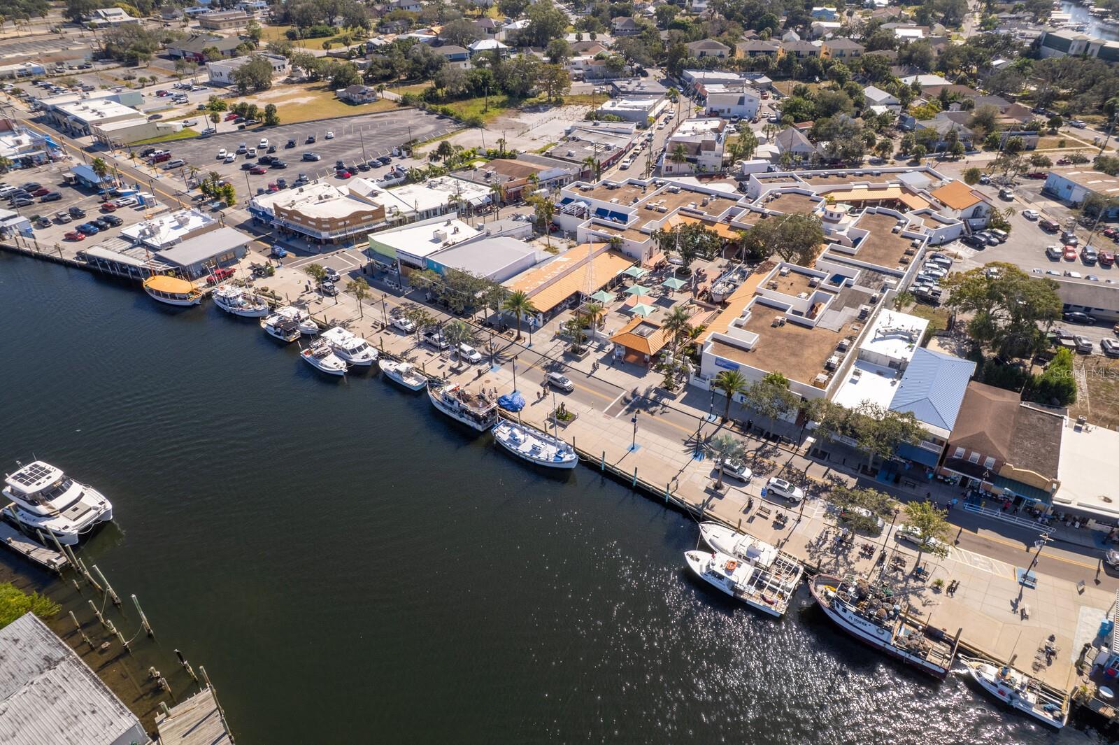 1343 HIGHLAND AVE, TARPON SPRINGS, FL, 34689