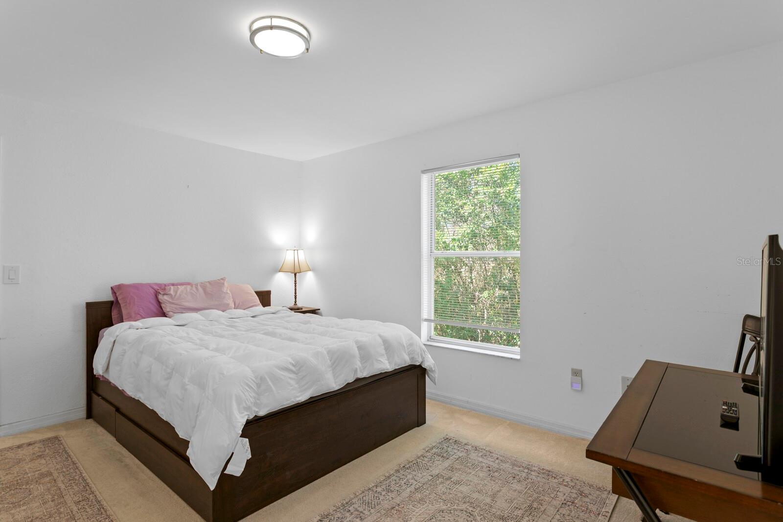 1343 HIGHLAND AVE, TARPON SPRINGS, FL, 34689