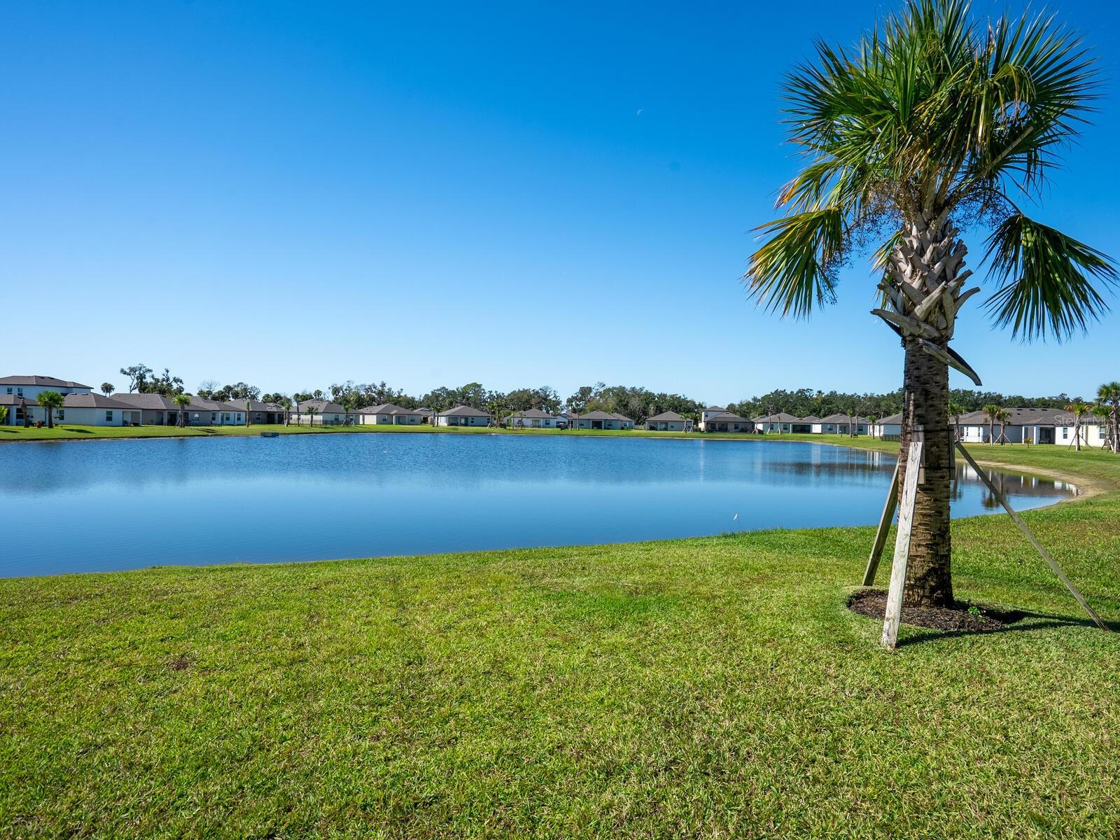 9975 LAST LIGHT GLN, PARRISH, FL, 34219