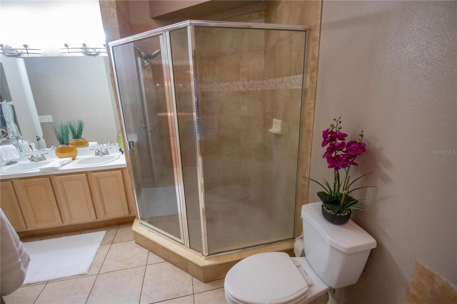 878 LAKE JACKSON CIR, APOPKA, FL, 32703