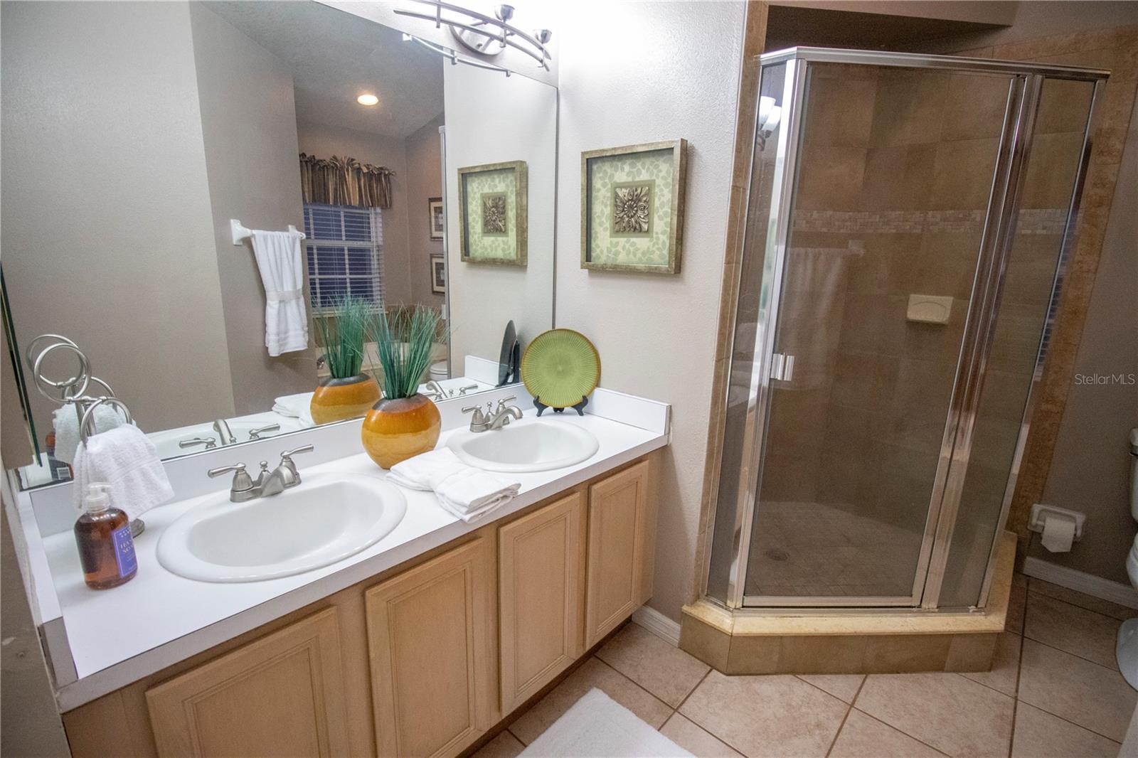 878 LAKE JACKSON CIR, APOPKA, FL, 32703