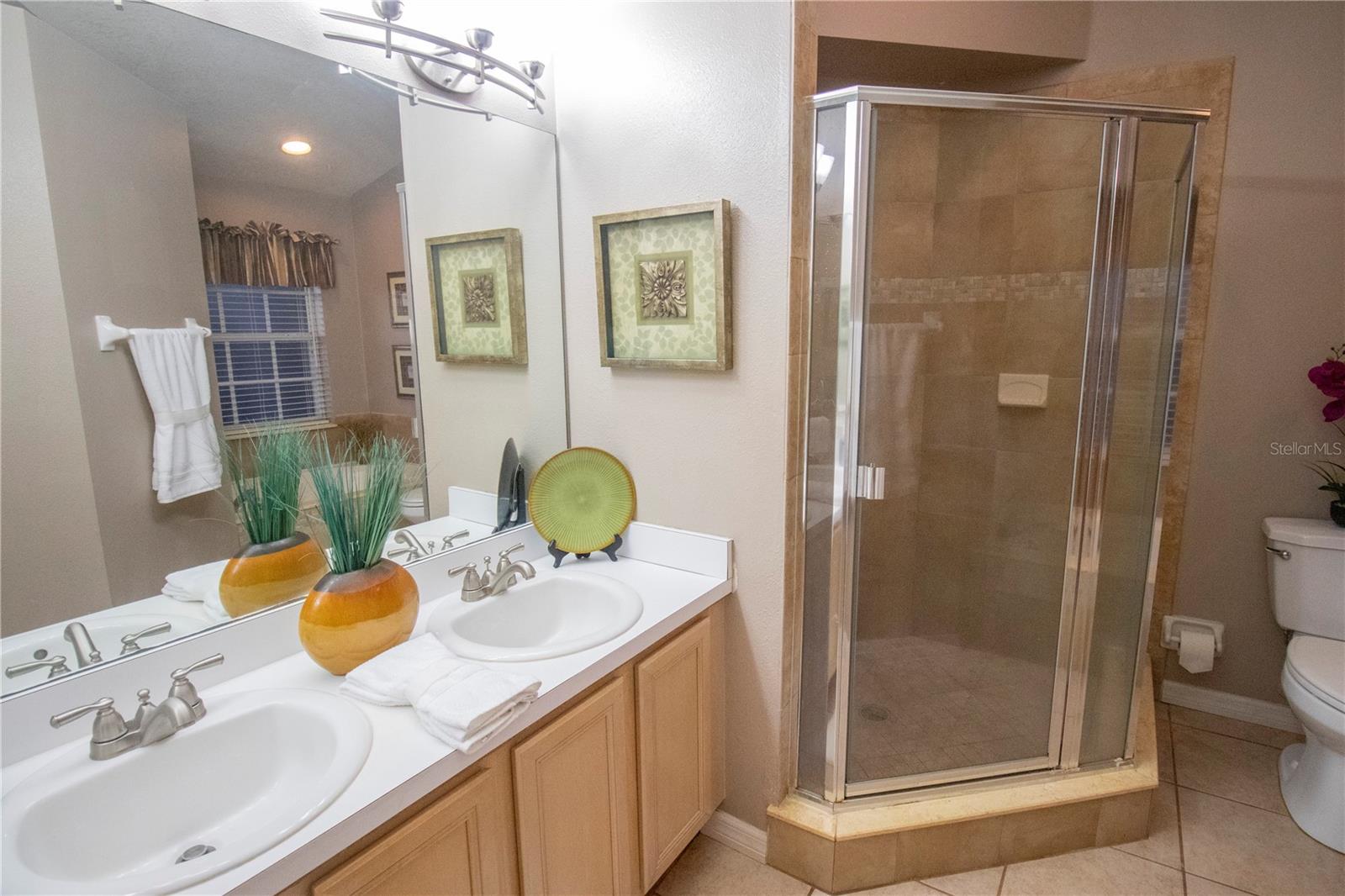 878 LAKE JACKSON CIR, APOPKA, FL, 32703