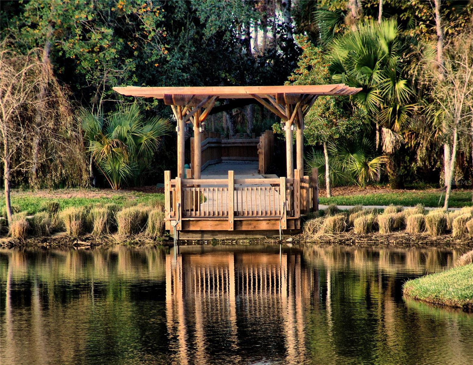 718 HONEYSUCKLE AVE, CELEBRATION, FL, 34747