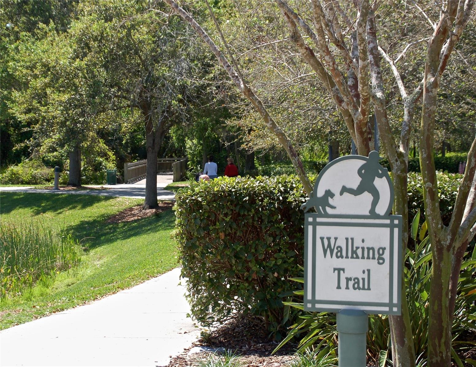 718 HONEYSUCKLE AVE, CELEBRATION, FL, 34747