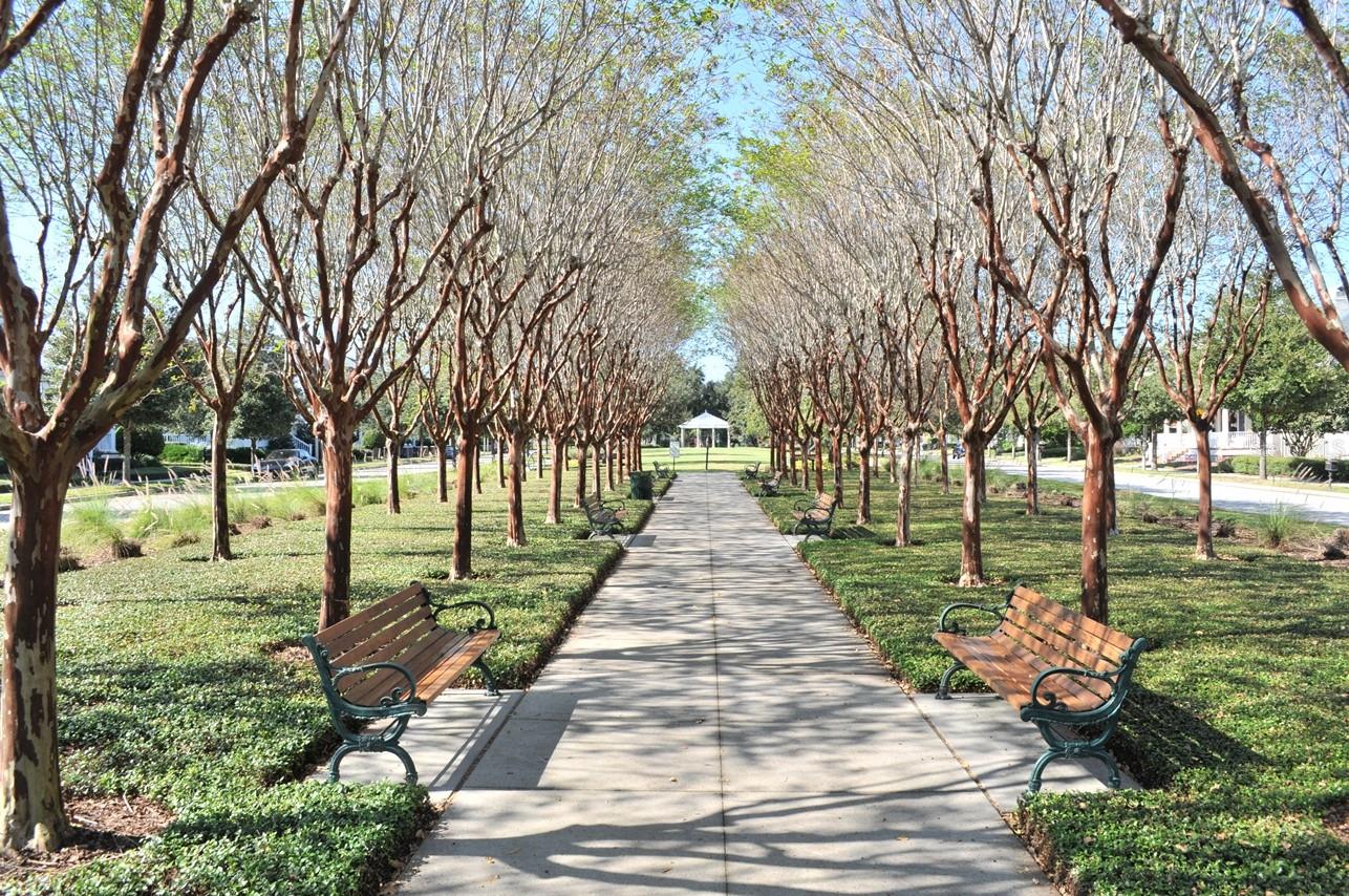 718 HONEYSUCKLE AVE, CELEBRATION, FL, 34747