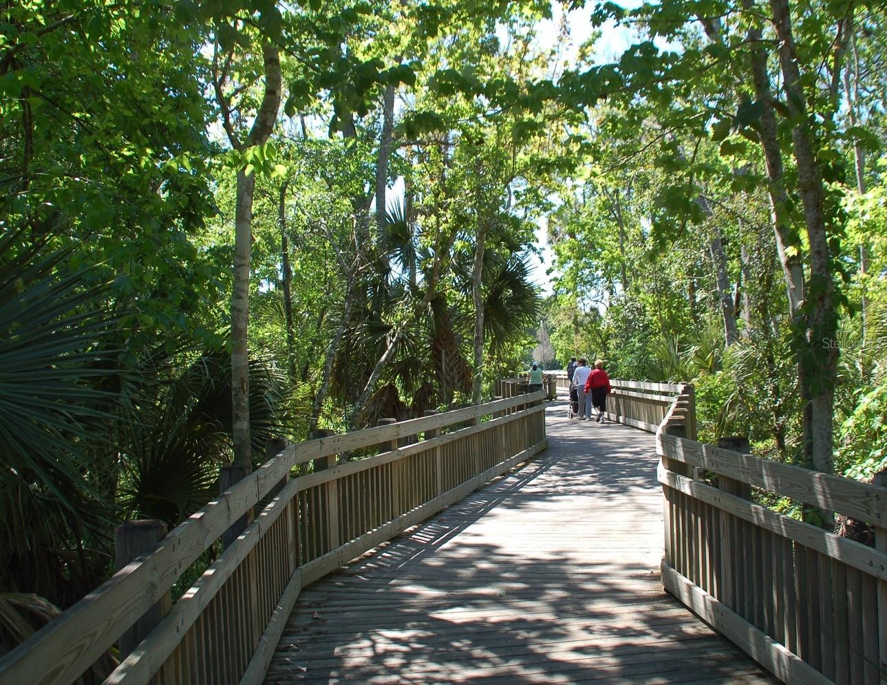 718 HONEYSUCKLE AVE, CELEBRATION, FL, 34747