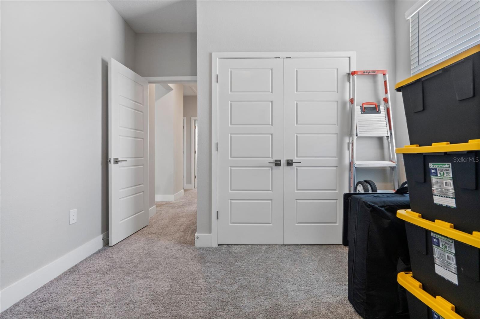 14340 BRAEMAR ST, WINTER GARDEN, FL, 34787