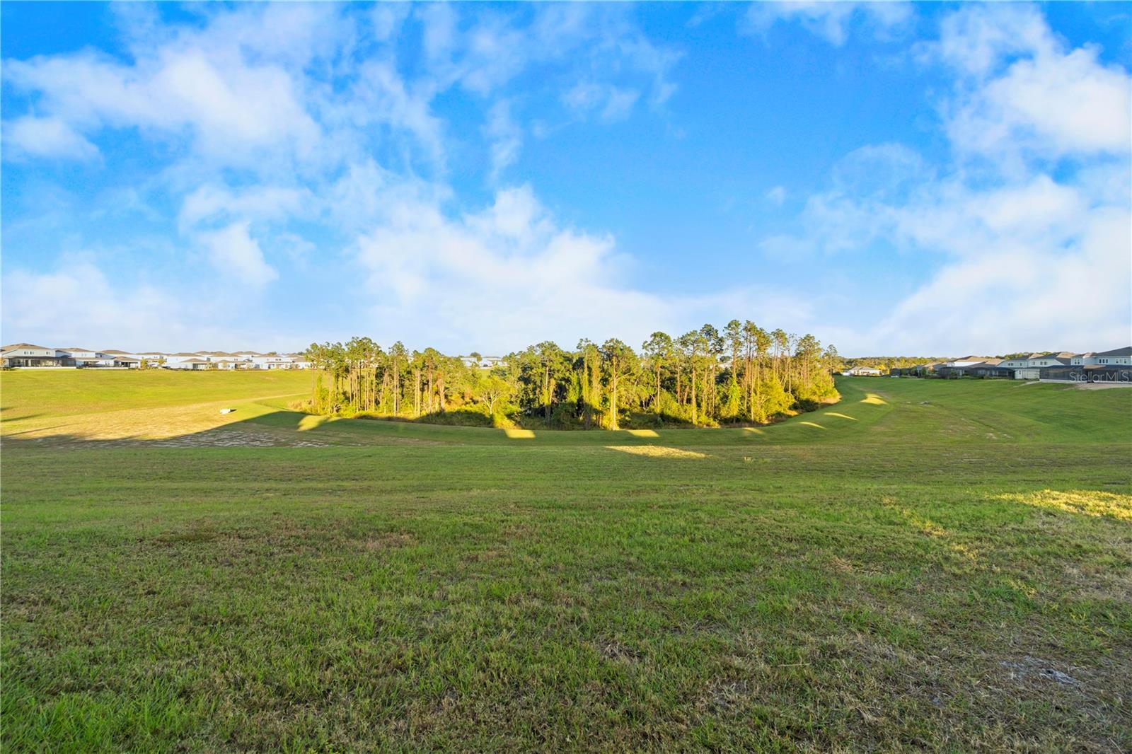 15296 WILLOW RIDGE DR, MONTVERDE, FL, 34756