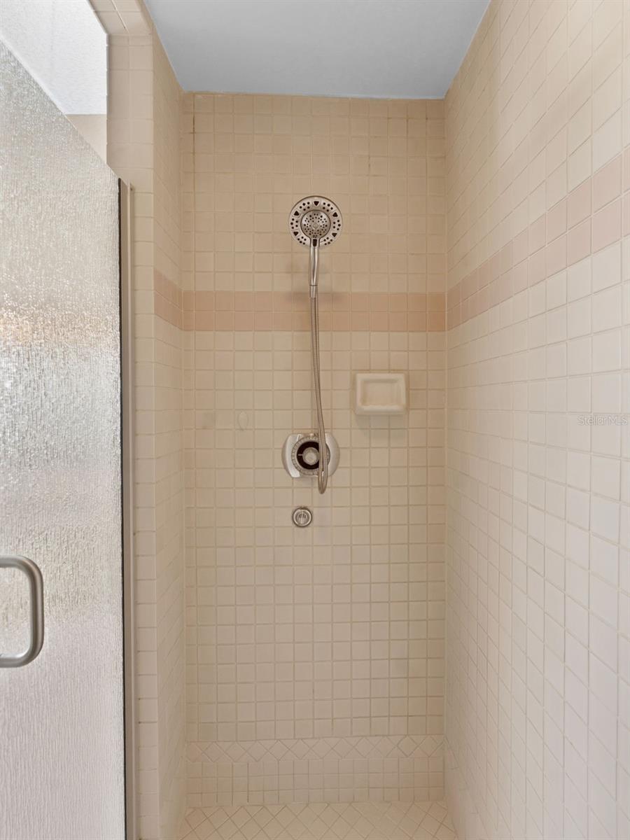 Primary Shower