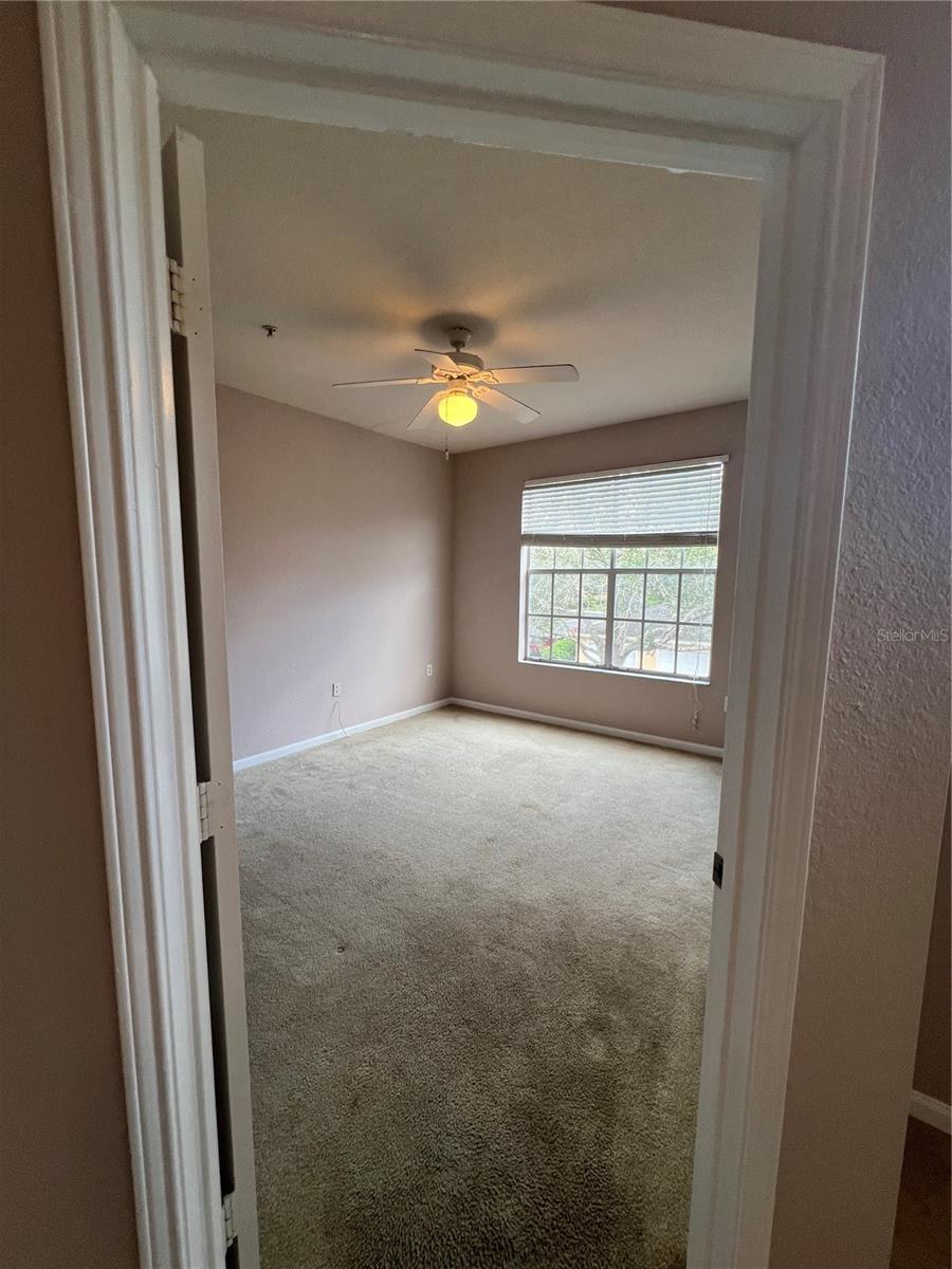 5125 PALM SPRINGS BLVD #13203, TAMPA, FL, 33647