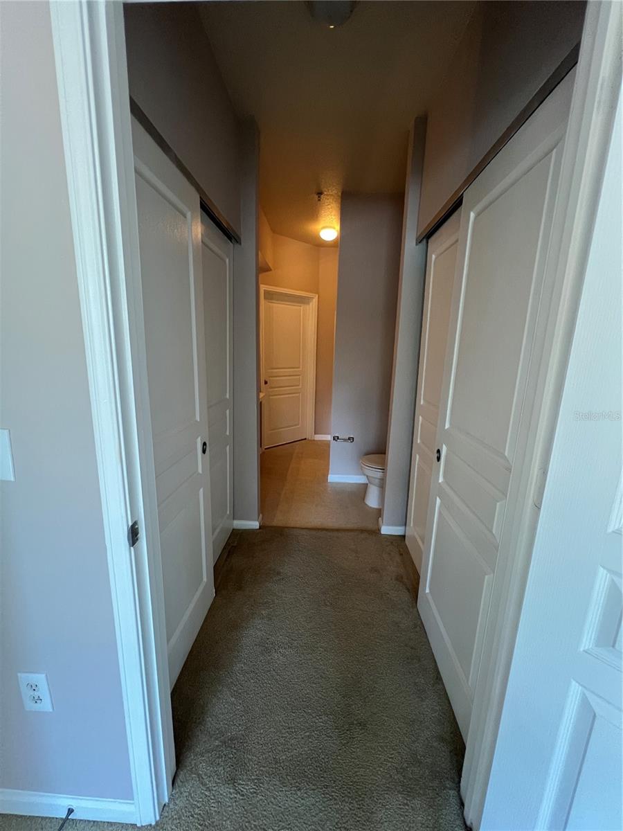 5125 PALM SPRINGS BLVD #13203, TAMPA, FL, 33647