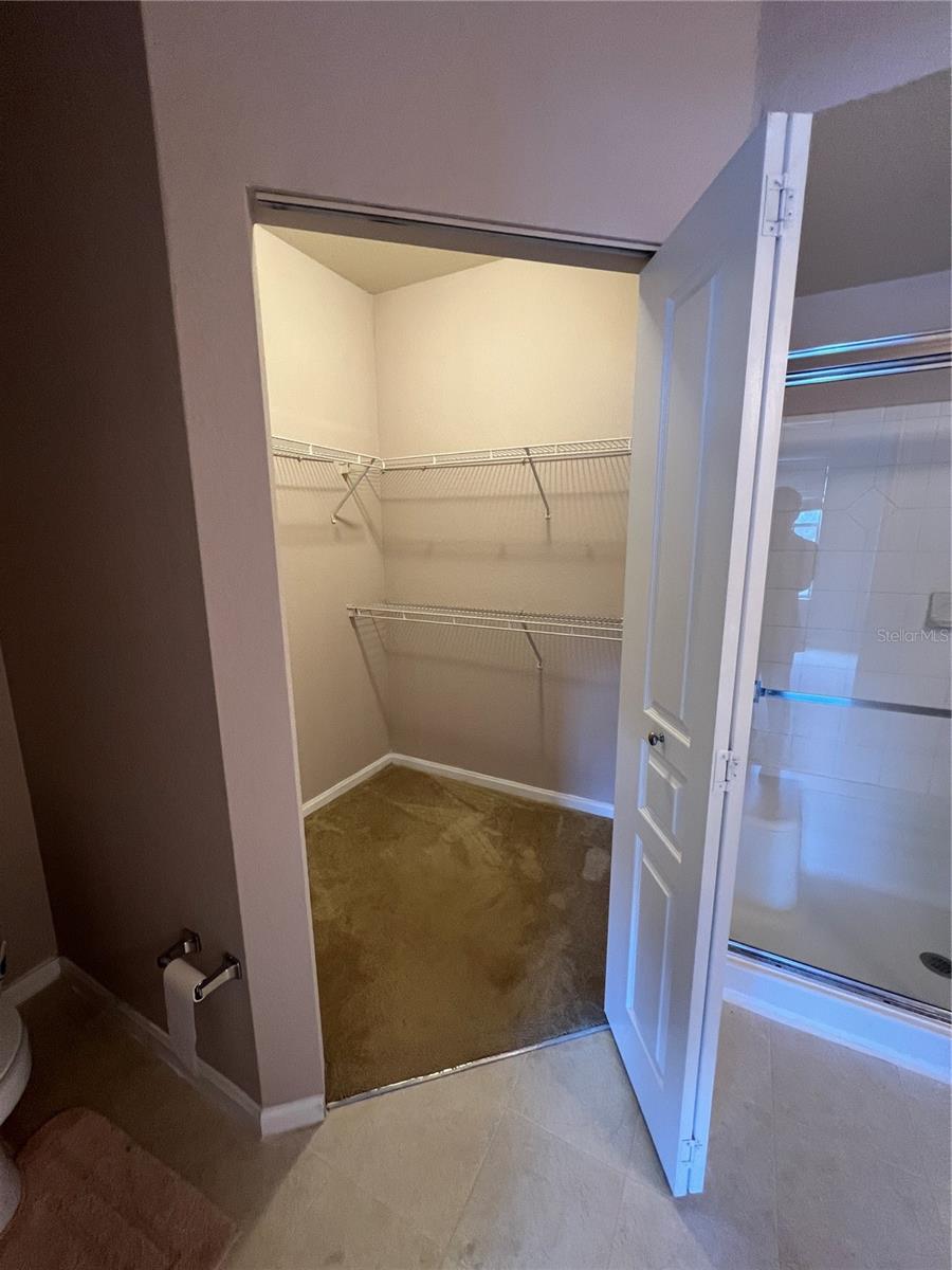 5125 PALM SPRINGS BLVD #13203, TAMPA, FL, 33647