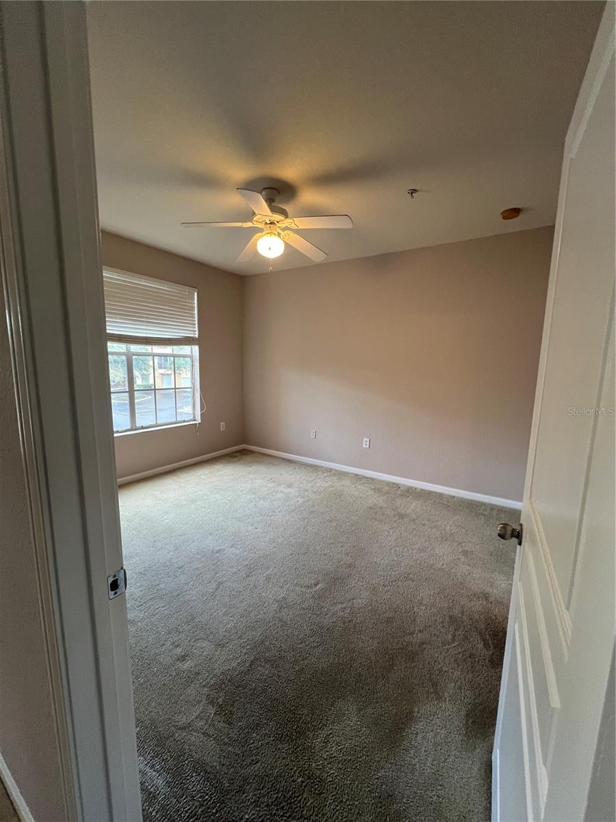 5125 PALM SPRINGS BLVD #13203, TAMPA, FL, 33647