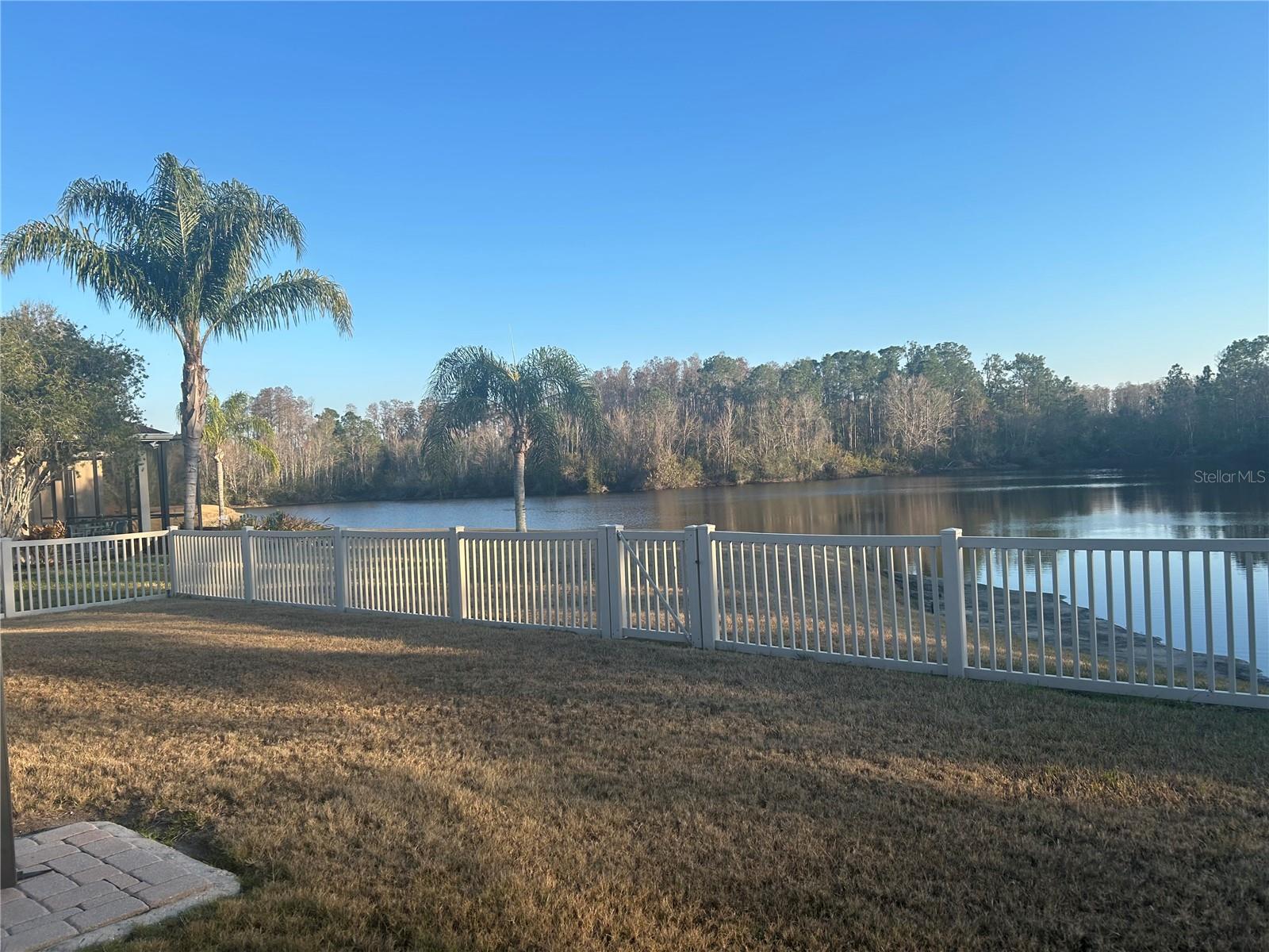 Picturesque backyard view