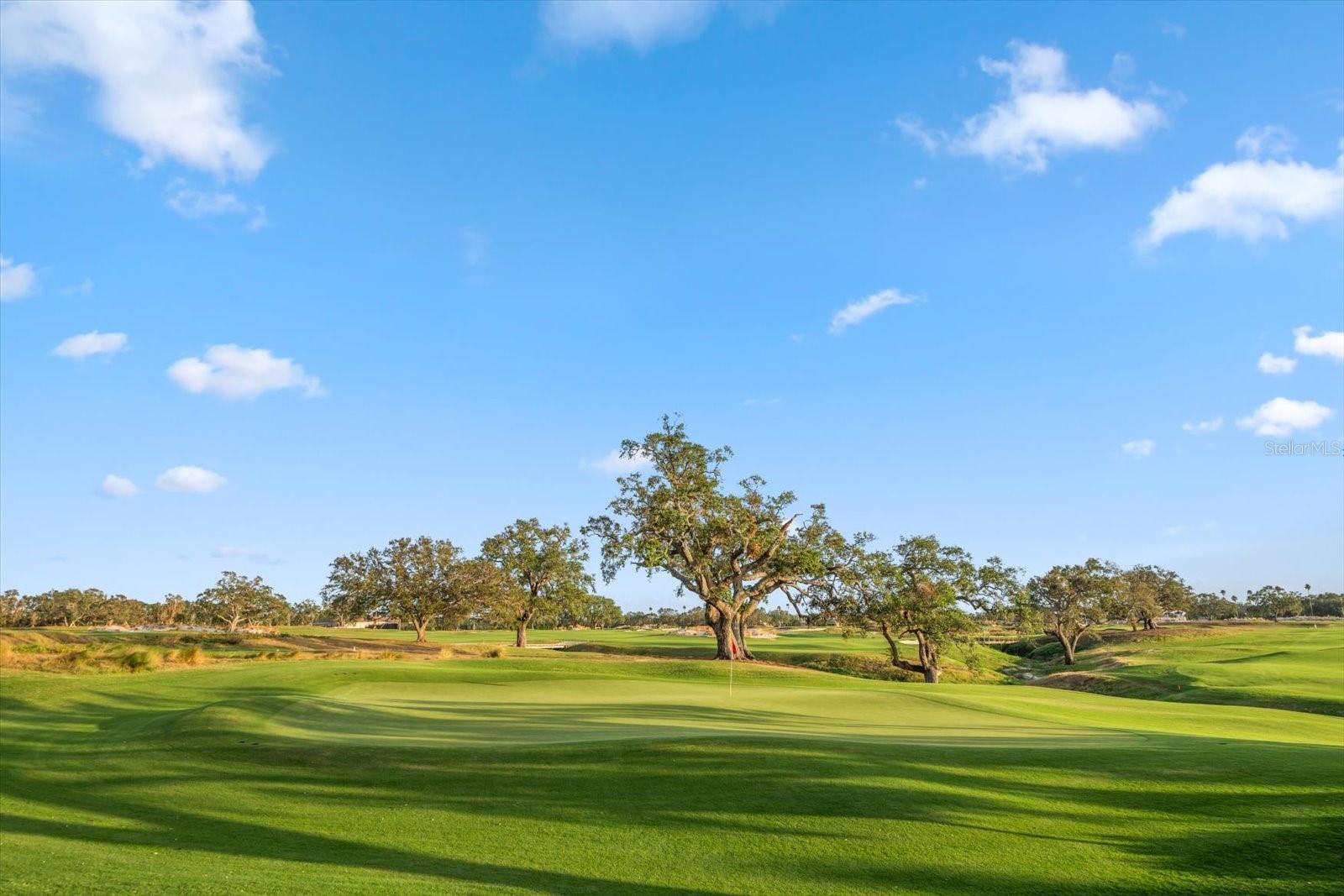 4 BELLEVIEW BLVD #106, BELLEAIR, FL, 33756