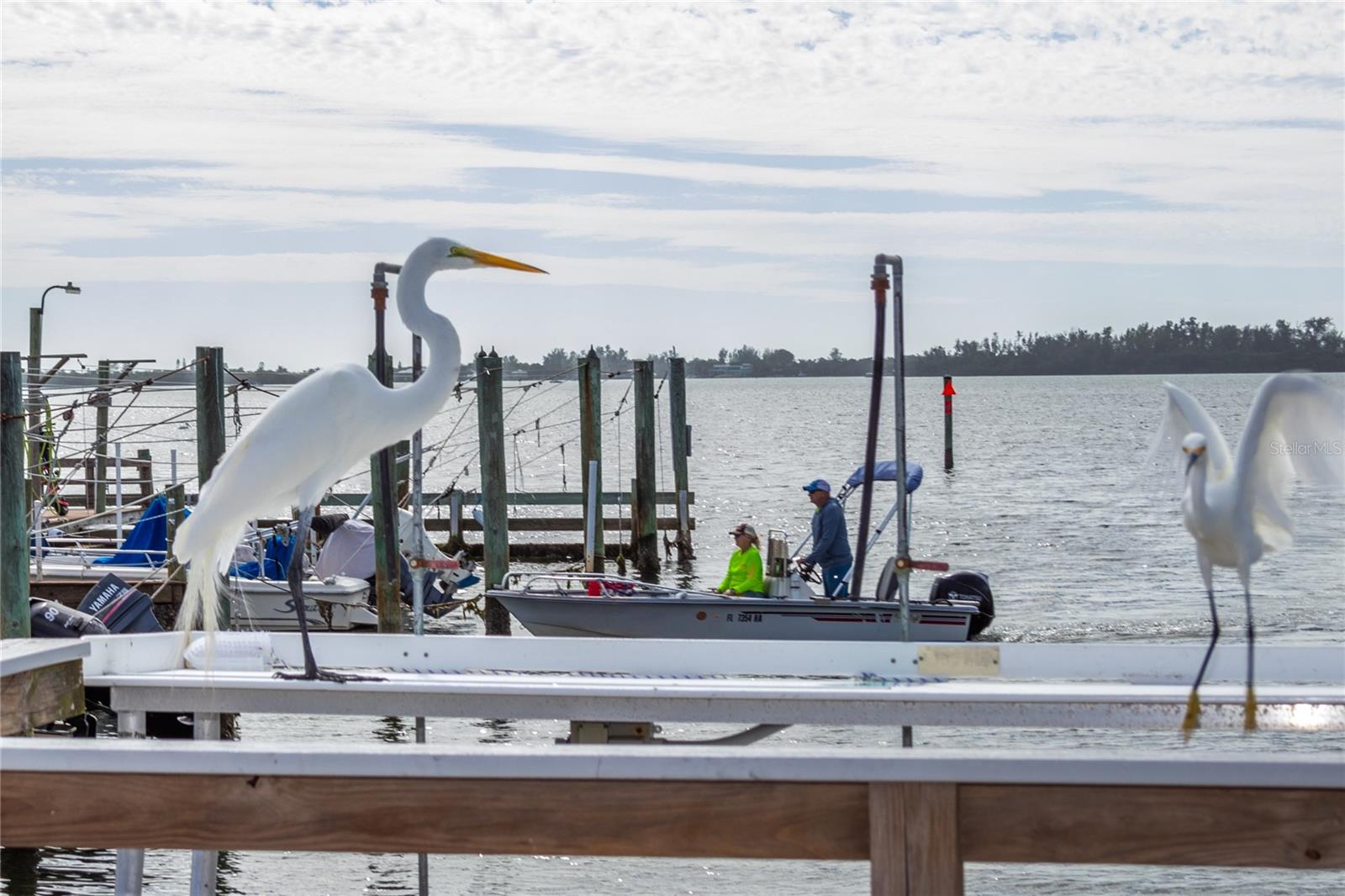 A4671662 Property Photo